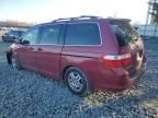 2006 Honda Odyssey EXL