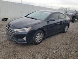 Salvage Cars with No Bids Yet For Sale at auction: 2019 Hyundai Elantra SE