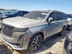 Salvage SUVs for sale at auction: 2023 Cadillac Escalade Sport