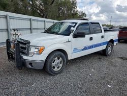 Salvage trucks for sale at Riverview, FL auction: 2014 Ford F150 Supercrew