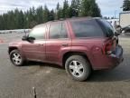 2007 Chevrolet Trailblazer LS