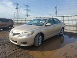 Toyota Camry Base salvage cars for sale: 2010 Toyota Camry Base