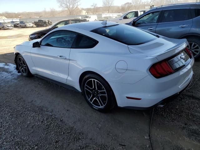 2023 Ford Mustang