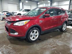 2014 Ford Escape SE en venta en Ham Lake, MN