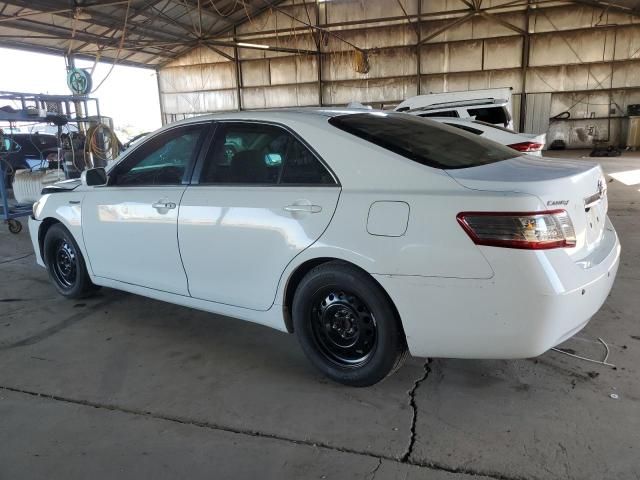 2010 Toyota Camry Hybrid