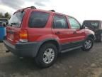 2002 Ford Escape XLT