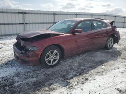 Dodge salvage cars for sale: 2020 Dodge Charger SXT