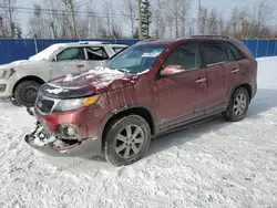 Salvage cars for sale from Copart Moncton, NB: 2013 KIA Sorento LX