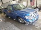 2009 Ford F150