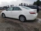 2008 Toyota Camry Hybrid