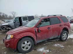 Vehiculos salvage en venta de Copart Des Moines, IA: 2011 Ford Escape XLT