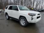 2022 Toyota 4runner SR5/SR5 Premium