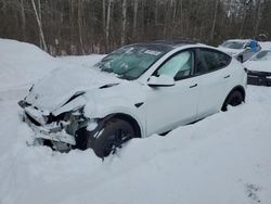 Salvage cars for sale from Copart Cookstown, ON: 2024 Tesla Model Y