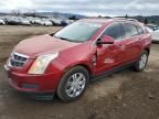 2010 Cadillac SRX Luxury Collection