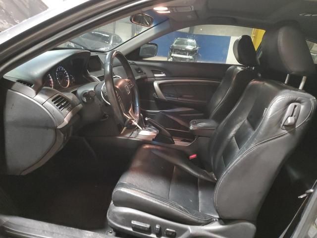 2011 Honda Accord EXL