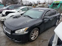 Salvage cars for sale at Baltimore, MD auction: 2011 Nissan Maxima S