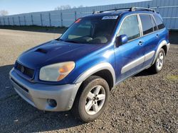 2005 Toyota Rav4 en venta en Anderson, CA