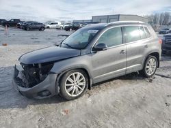 Volkswagen Tiguan s Vehiculos salvage en venta: 2013 Volkswagen Tiguan S