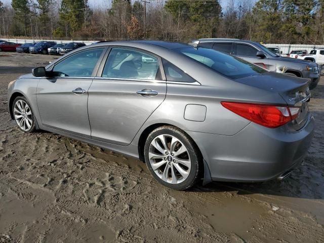 2013 Hyundai Sonata SE