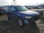 2006 Ford Escape XLT