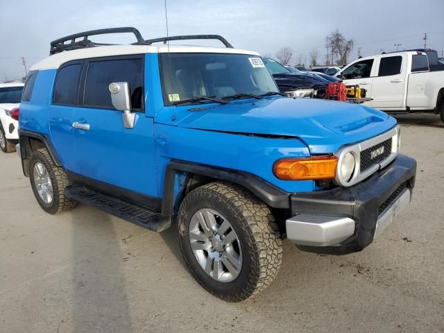 2007 Toyota FJ Cruiser