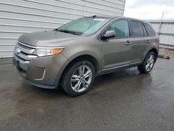 Ford salvage cars for sale: 2013 Ford Edge SEL