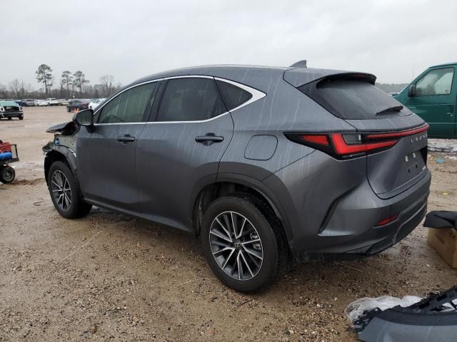 2024 Lexus NX 250 Base