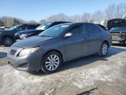 Toyota Vehiculos salvage en venta: 2010 Toyota Corolla Base