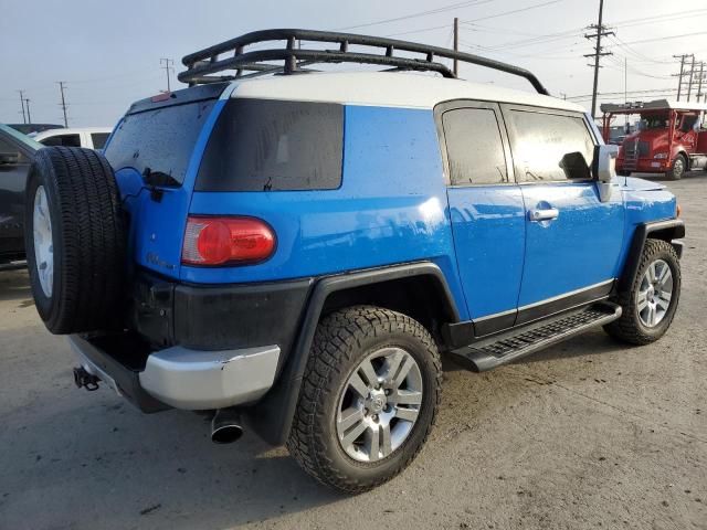 2007 Toyota FJ Cruiser