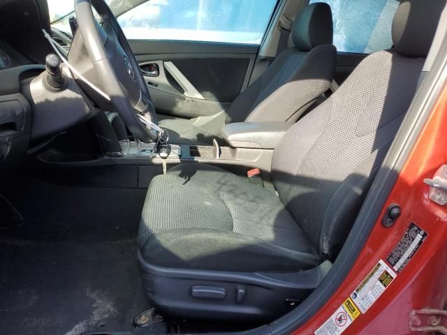 2010 Toyota Camry Base