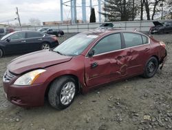 Nissan Vehiculos salvage en venta: 2011 Nissan Altima Base