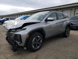 Salvage cars for sale at Louisville, KY auction: 2025 Hyundai Tucson SEL