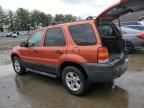 2007 Ford Escape XLT