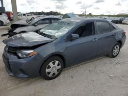 Salvage cars for sale at West Palm Beach, FL auction: 2016 Toyota Corolla L