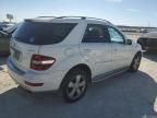 2010 Mercedes-Benz ML 350