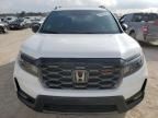 2024 Honda Passport Trail Sport