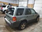 2006 Ford Escape XLT