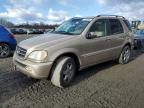 2003 Mercedes-Benz ML 500