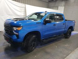 Salvage cars for sale at Dunn, NC auction: 2024 Chevrolet Silverado K1500 Trail Boss Custom