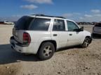 2006 Chevrolet Trailblazer LS