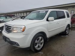 2014 Honda Pilot EXL en venta en Louisville, KY