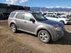 2010 Ford Escape Limited