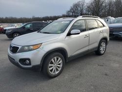 Salvage cars for sale at Glassboro, NJ auction: 2011 KIA Sorento EX