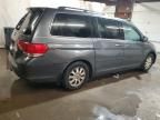 2010 Honda Odyssey EXL