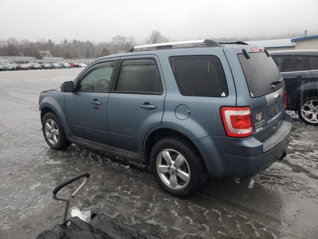 2011 Ford Escape Limited