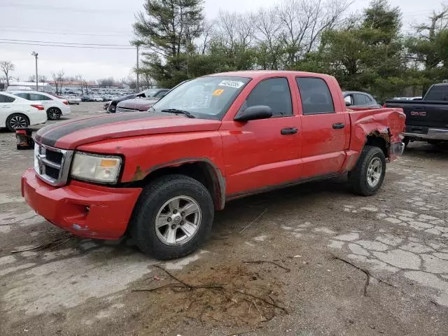 2008 Dodge Dakota SXT