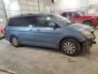 2008 Honda Odyssey EX