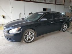 Salvage cars for sale at Lexington, KY auction: 2013 Nissan Maxima S