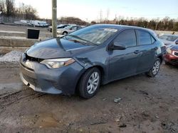 Salvage cars for sale at Baltimore, MD auction: 2015 Toyota Corolla L