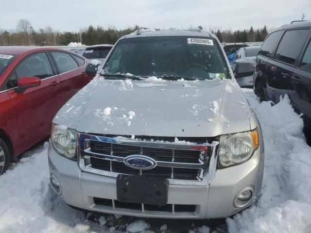 2009 Ford Escape XLT